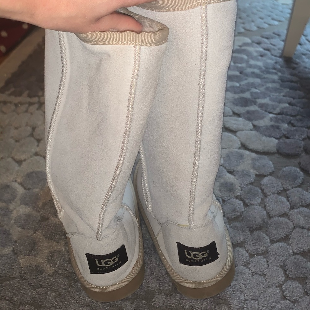 Tall Classic Uggs (5815) New